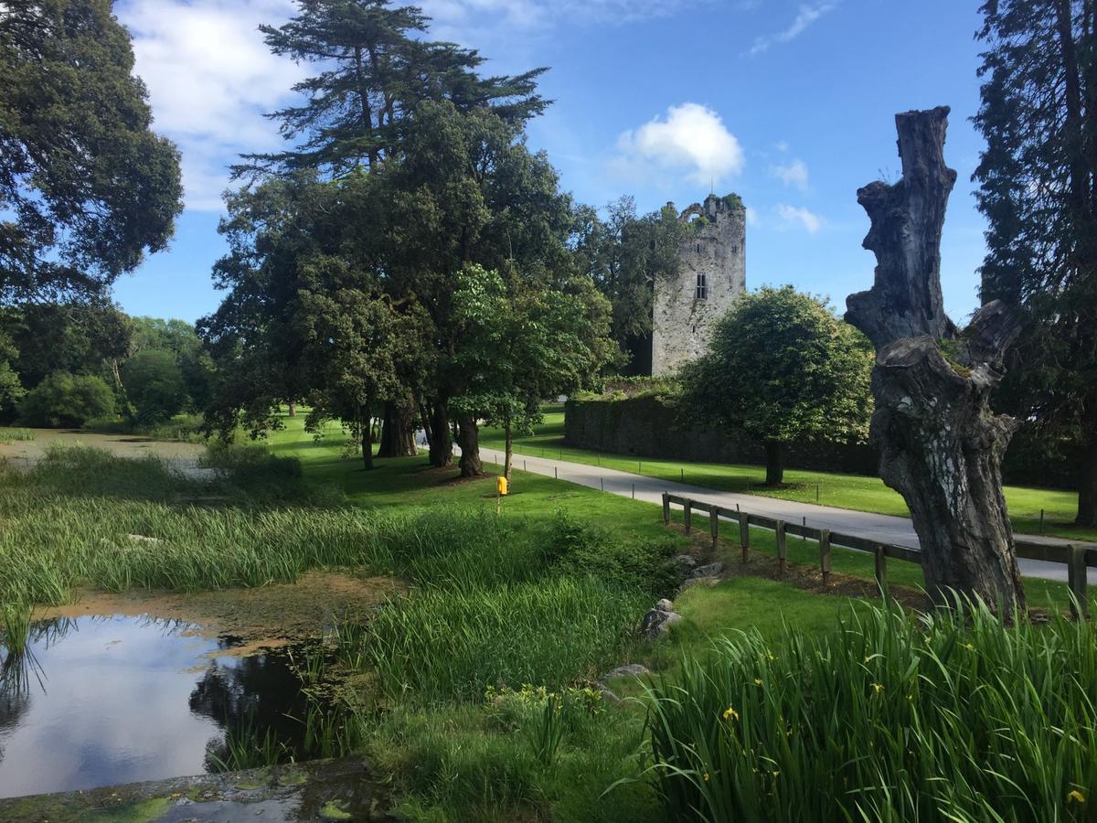 Castlemartyr Holiday Mews 3 Bed By Trident Holiday Homes מראה חיצוני תמונה